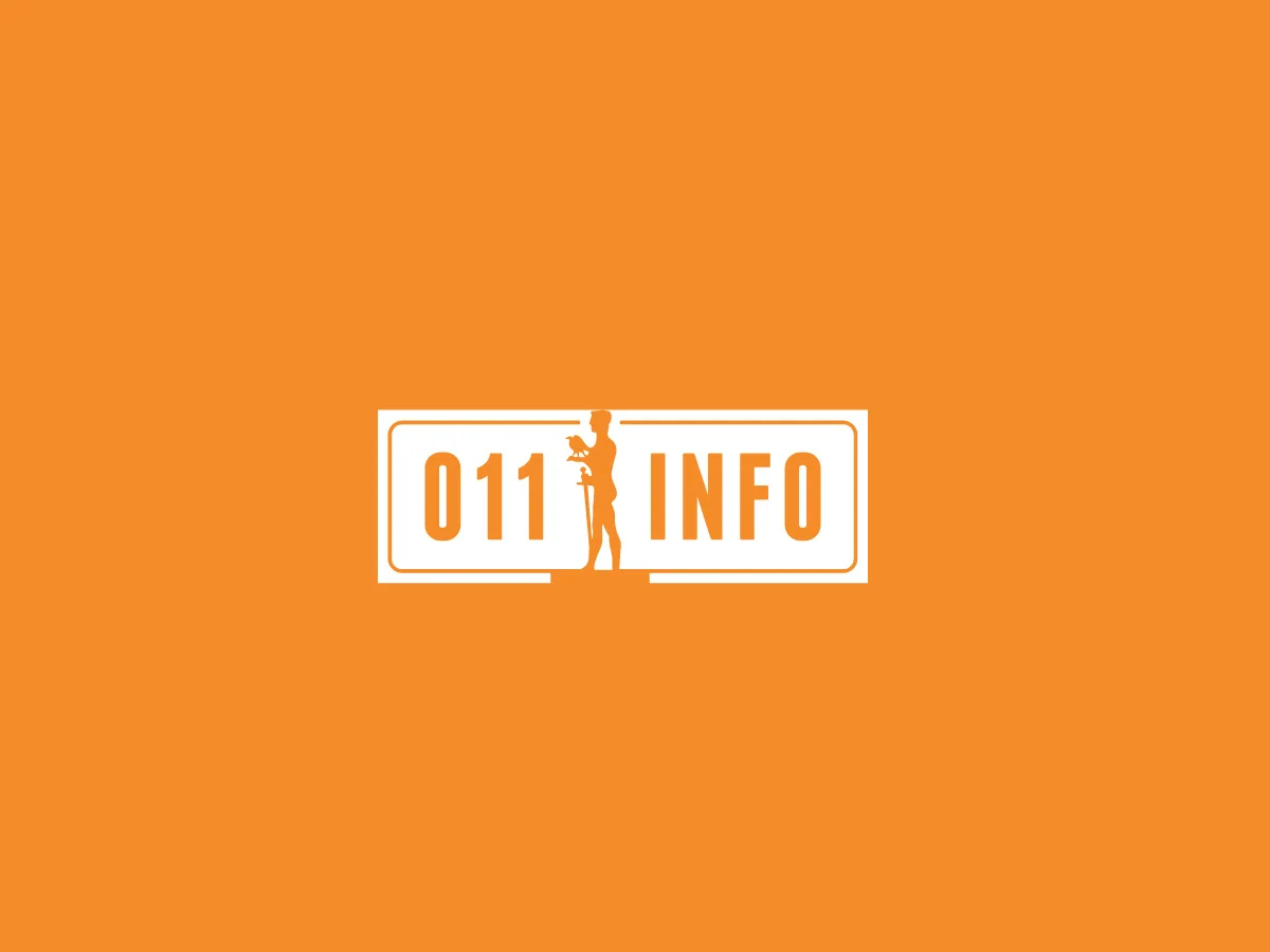 011 Info: Logo variation