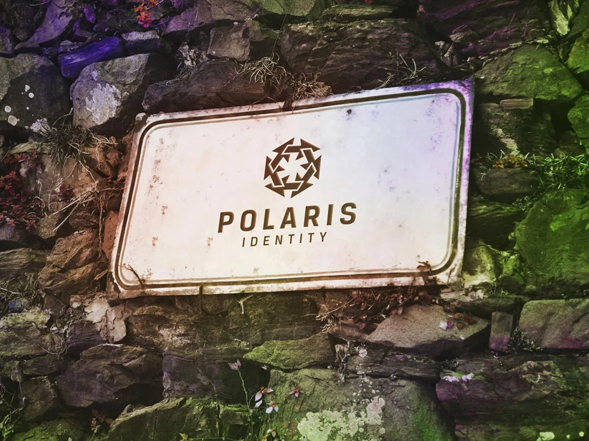 Polaris Identity: Application