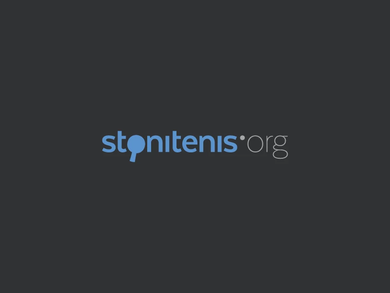 Stonitenis.org: Logo variation