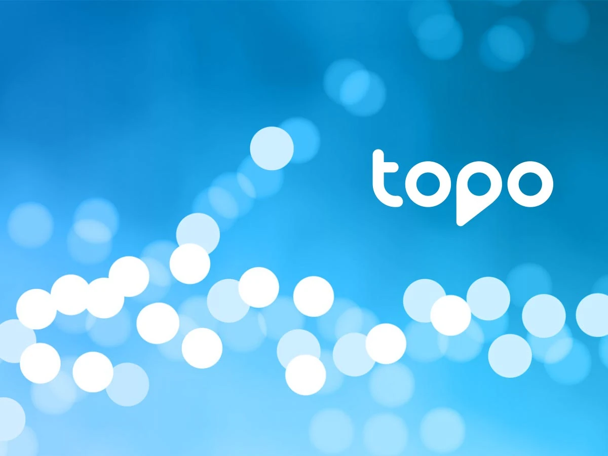 Topo: Logo variation