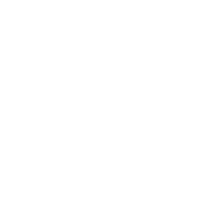OSCE logo